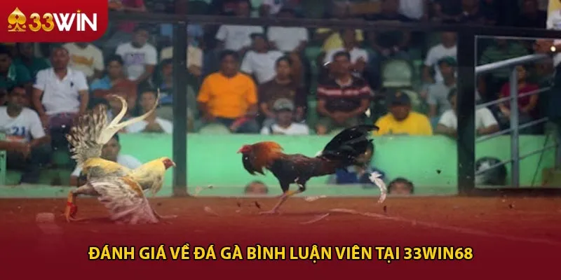 Đánh giá về đá gà bình luận viên tại 33win68